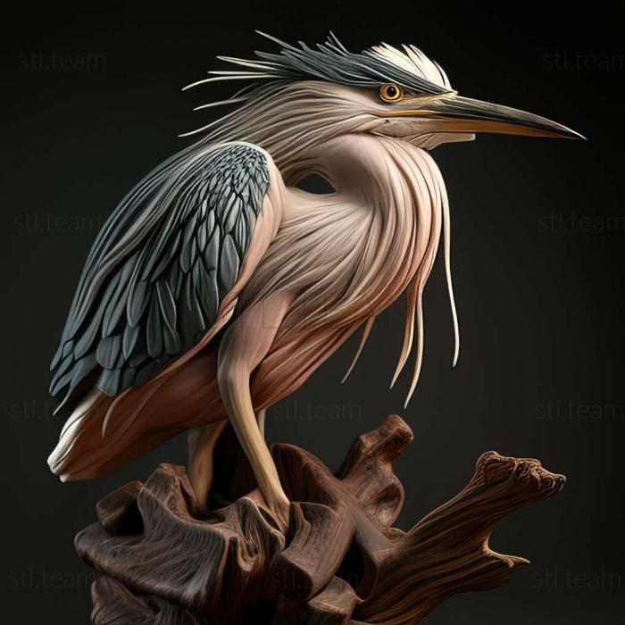 3D model Nycticorax duboisi (STL)